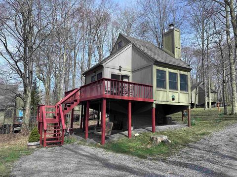 Photo of 47 Red Squirrel Run, Davis, WV 26260 (MLS # 10164811)
