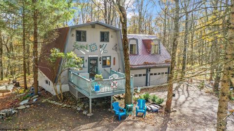 Photo of 1218 E Alpine Drive, Terra Alta, WV 26764 (MLS # 10162402)