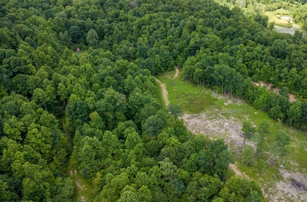 21 LAKE DR, BUCKHANNON, WV 26201 - Image 6a7ea1d7f2a5d184e1f46c51427e16c2/517440775