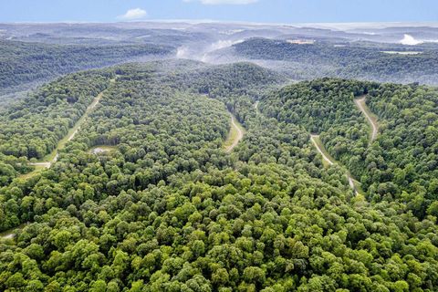 Photo of Lot 82 Whitewater Parkway, Bruceton Mills, WV 26525 (MLS # 10160271)