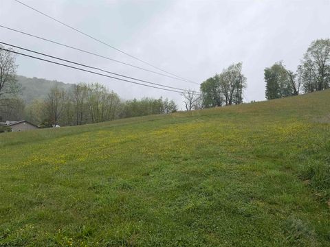 Photo of TBD Old Elkins Road, Buckhannon, WV 26201 (MLS # 10164687)