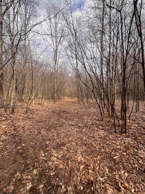 Photo of TBD Sugar Valley Road, Bruceton Mills, WV 26525 (MLS # 10164027)