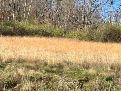 Photo of TBD Planing Mill Street, Belington, WV 26250 (MLS # 10157193)