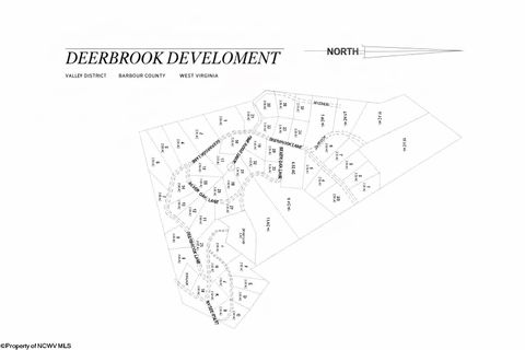 Photo of Lot 4 Deerbrook Estates, Belington, WV 26250 (MLS # 10164375)