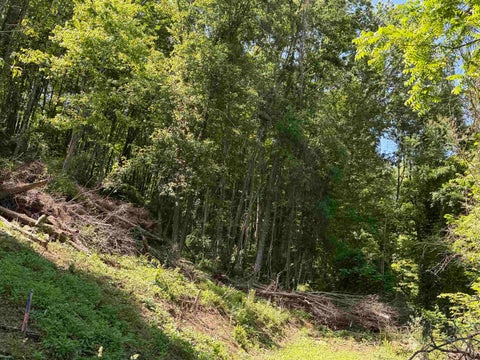 Photo of TBD Sandy Drive, Grafton, WV 26354 (MLS # 10165137)
