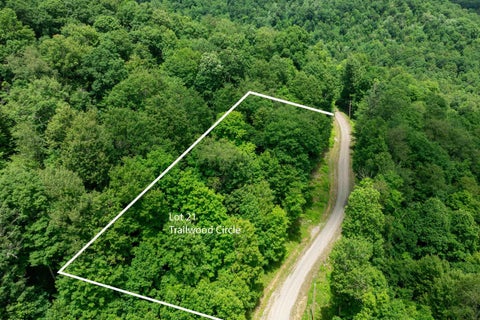 Photo of Lot 21 Trailwood Circle, Bruceton Mills, WV 26525 (MLS # 10165480)