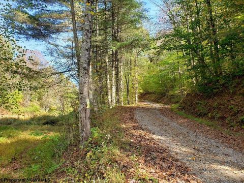Photo of 100 Steve Rosier Road Mount Zion Road, Parsons, WV 26287 (MLS # 10161875)