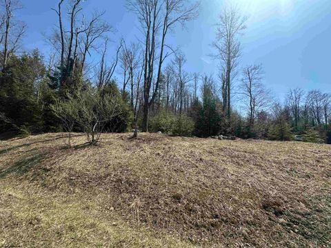 Photo of Lot 195 Florence Court, Davis, WV 26260 (MLS # 10159055)