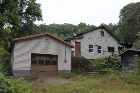 Photo of 233 Kingfisher Road, Webster Springs, WV 26288 (MLS # 10161515)