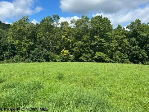 Photo of Long Run Road, Tallmansville, WV 26237 (MLS # 10166427)