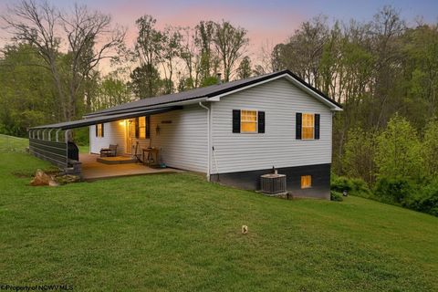 Photo of 113 Porter Avenue, Farmington, WV 26571 (MLS # 10164573)