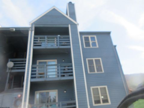Photo of 304 HERZWOOD CONDO C Drive #304, Davis, WV 26260 (MLS # 10164294)