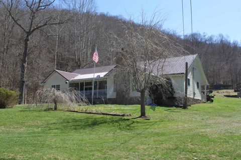 Photo of 992 Holly River Road, Webster Springs, WV 26288 (MLS # 10163770)