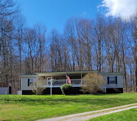 Photo of 99 Arrowhead Drive, Belington, WV 26250 (MLS # 10164011)