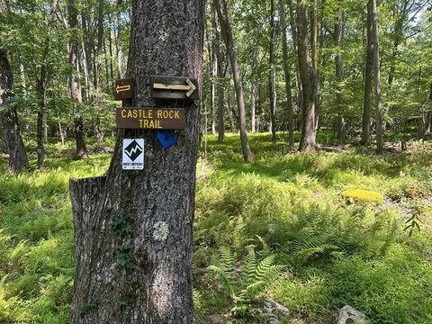 Photo of 10 Aster Drive, Terra Alta, WV 26764 (MLS # 10155522)