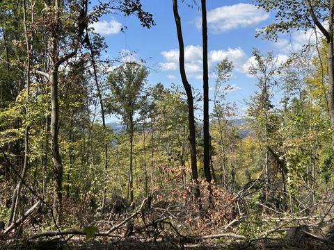 Photo of Lot 1 Crane School Road, Terra Alta, WV 26764 (MLS # 10161778)