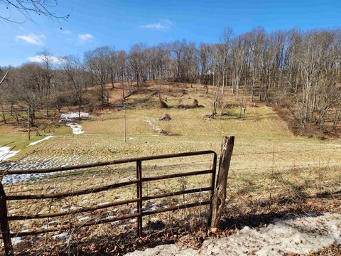 Photo of TBD Old Davidson Run, Clarksburg, WV 26301 (MLS # 10163357)