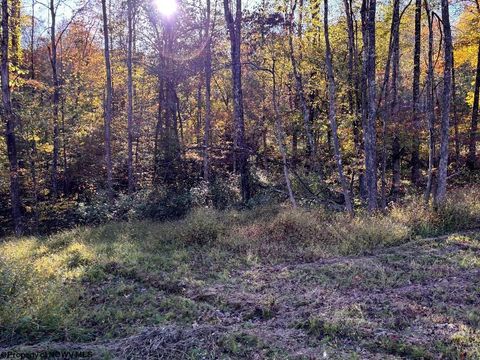 Photo of Lot 20 Island Road, Junior, WV 26275 (MLS # 10162105)