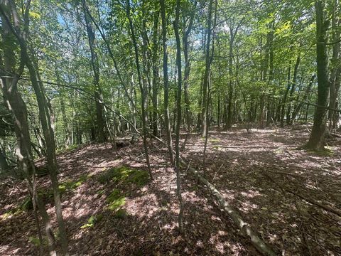 Photo of 97 Daylily Court Lot 97 St Moritz Section, Terra Alta, WV 26764 (MLS # 10160715)
