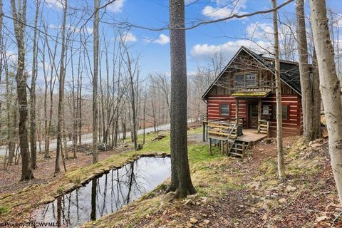 Photo of 54 Cabin Mountain Road, Davis, WV 26260 (MLS # 10164118)