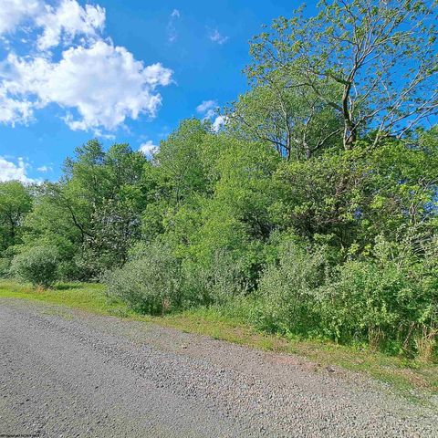 Photo of TBD Hudson Mill Road, Albright, WV 26519 (MLS # 10164936)