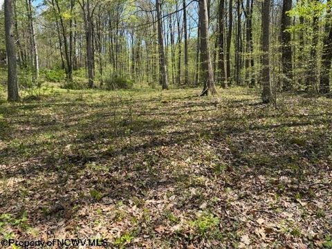 Photo of TBT Main Street, Montrose, WV 26283 (MLS # 10164425)