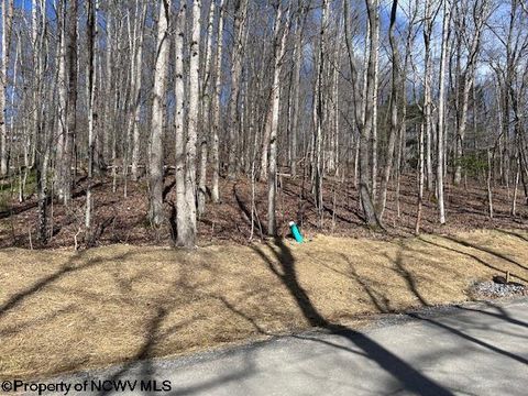Photo of Lot 30 Woodland Drive Beverly Hills, Beverly, WV 26241 (MLS # 10153959)