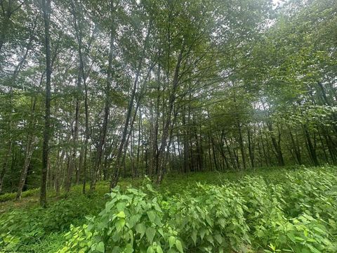 Photo of 153 Windflower Drive 153 Bern Section, Terra Alta, WV 26764 (MLS # 10160721)