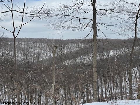 Photo of TBD Dry Branch Road, Clendenin, WV 25045 (MLS # 10163238)
