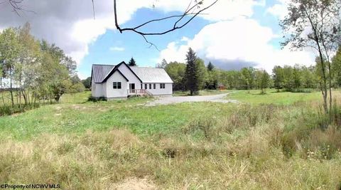 Photo of 221 Buckhorn Ridge Road, Davis, WV 26260 (MLS # 10161316)