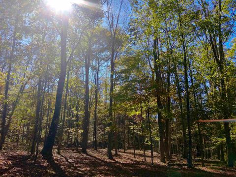 Photo of Lot 30 Wild Flower Way, Albright, WV 26519 (MLS # 10162232)