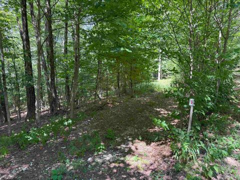 Photo of Lot 11 Kumbrabow Road TAY-HA Development, Huttonsville, WV 26273 (MLS # 10161234)