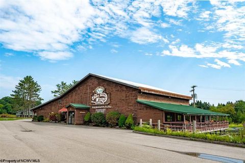 Photo of 6438 Appalachian Highway, Davis, WV 26260 (MLS # 10165475)