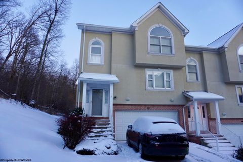 Photo of 213 Palisades Drive, Morgantown, WV 26505 (MLS # 10163254)