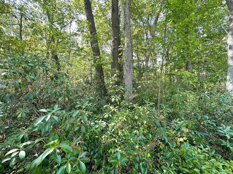 Photo of Lot 70 Pine Drive, Terra Alta, WV 26764 (MLS # 10156101)