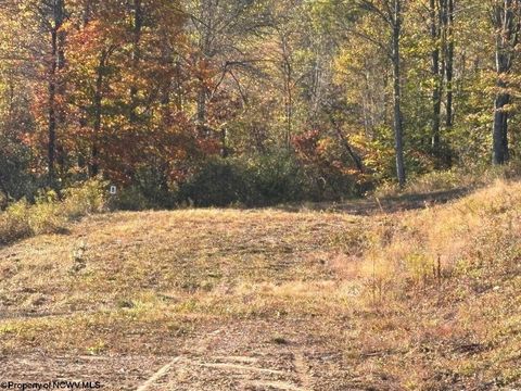 Photo of LOT 23 Island Road, Junior, WV 26275 (MLS # 10162110)