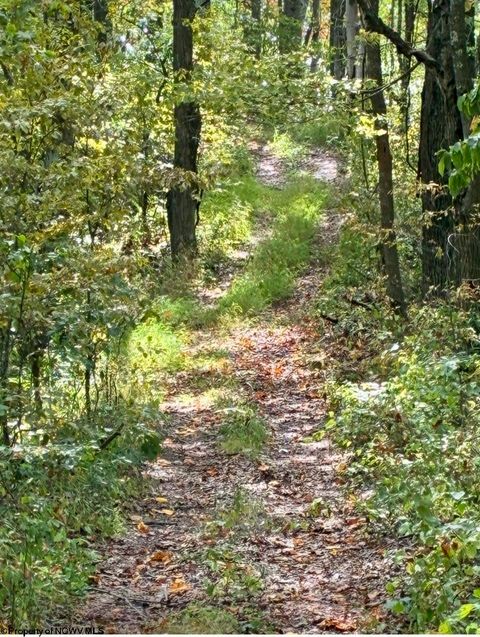 Photo of 5150 Indian Run, Salem, WV 26426 (MLS # 10161885)