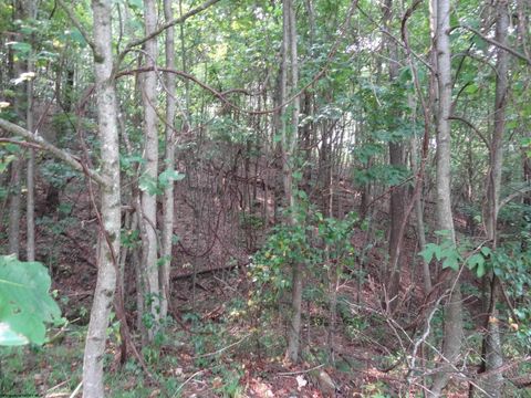 Photo of 2110 W Teter Creek Road, Belington, WV 26250 (MLS # 10163032)