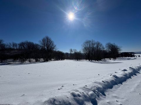 Photo of 18 Pointy Knob Road, Davis, WV 26260 (MLS # 10163332)