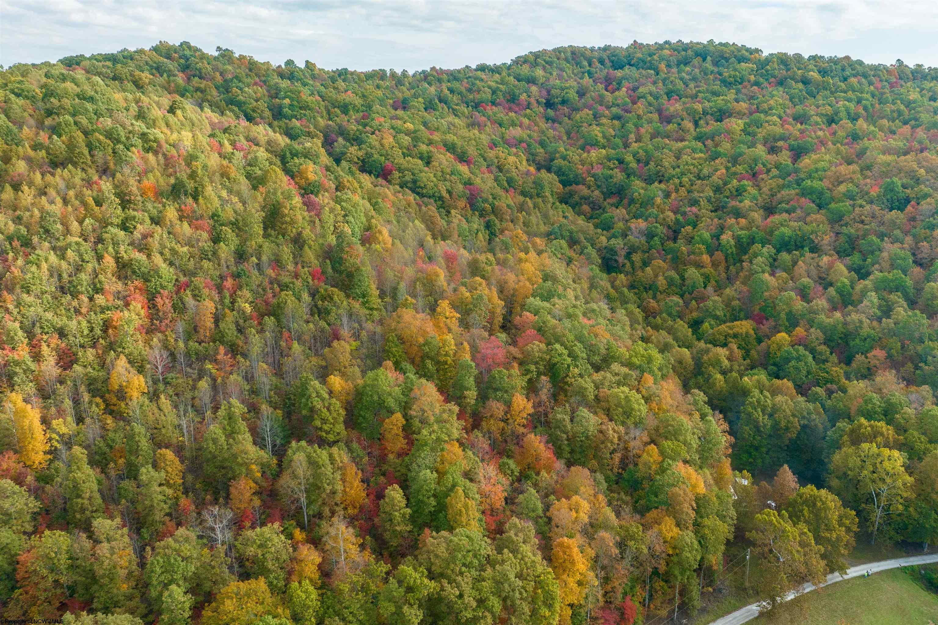 Clendenin, West Virginia 25045, United States, ,Land,Active,64630