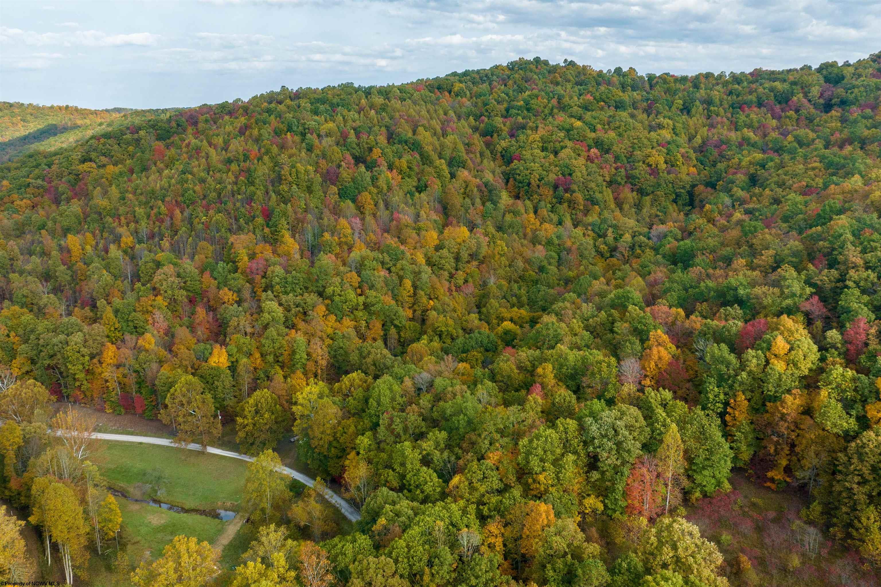 Clendenin, West Virginia 25045, United States, ,Land,Active,64630