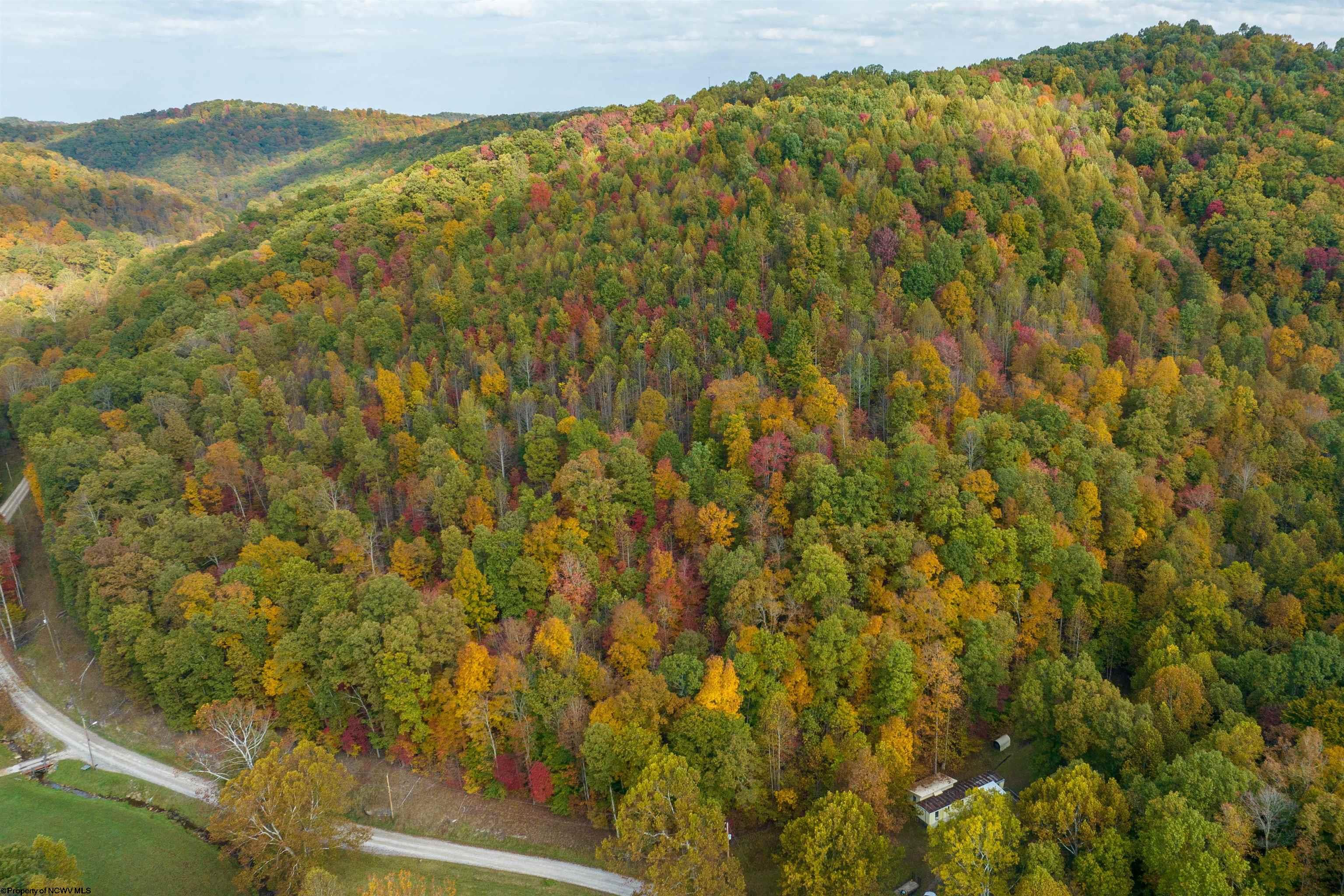 Clendenin, West Virginia 25045, United States, ,Land,Active,64630