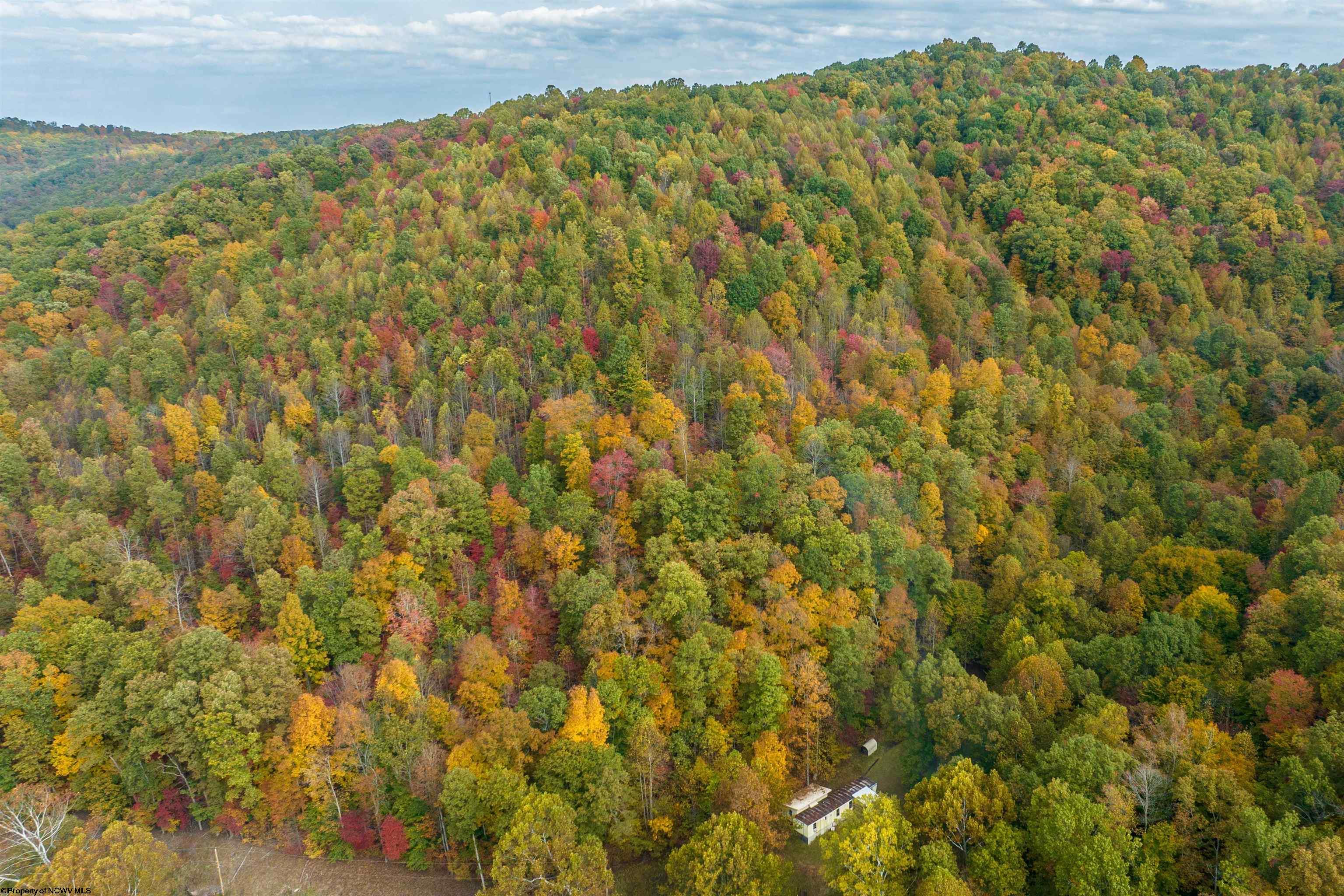 Clendenin, West Virginia 25045, United States, ,Land,Active,64630