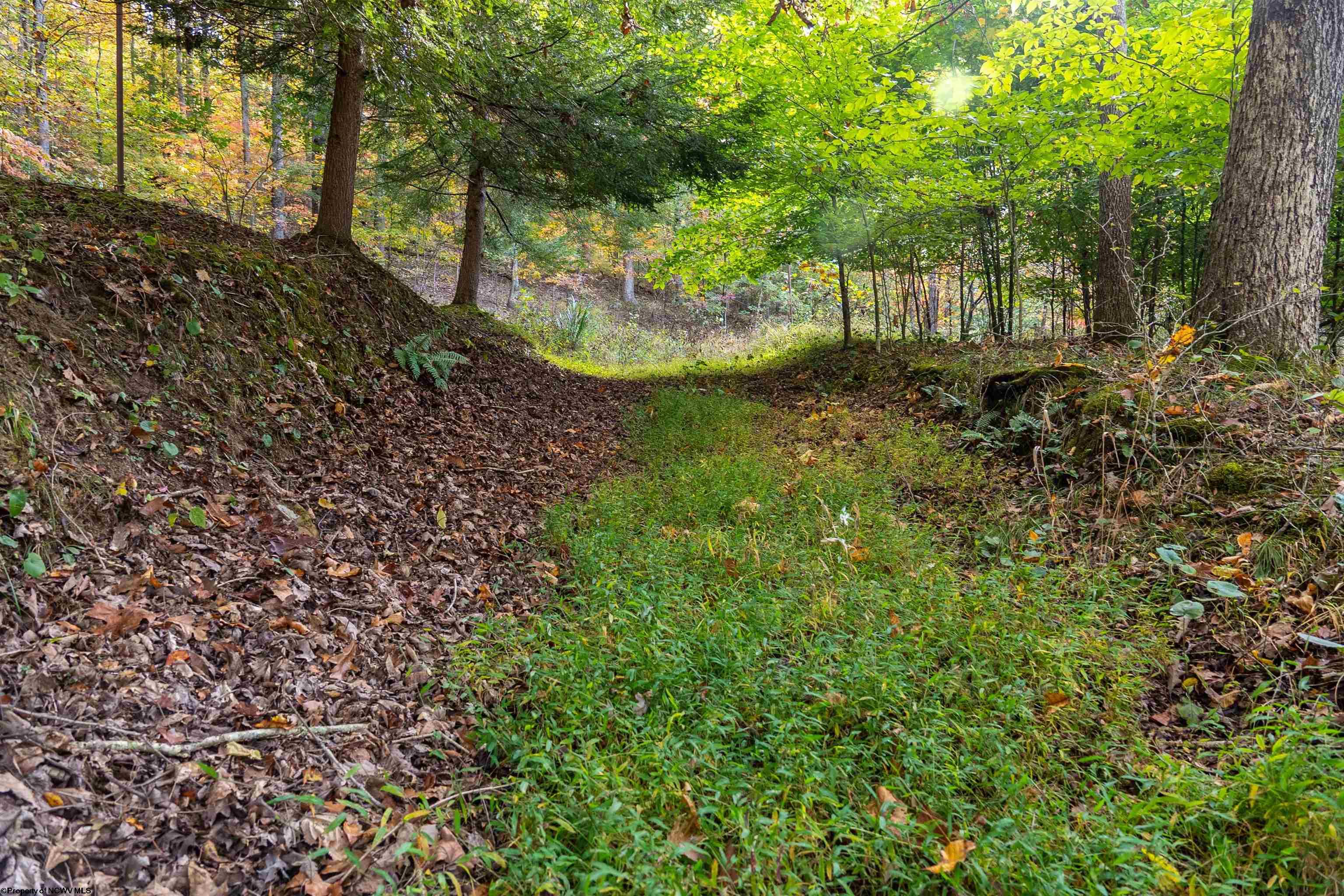 Clendenin, West Virginia 25045, United States, ,Land,Active,64630