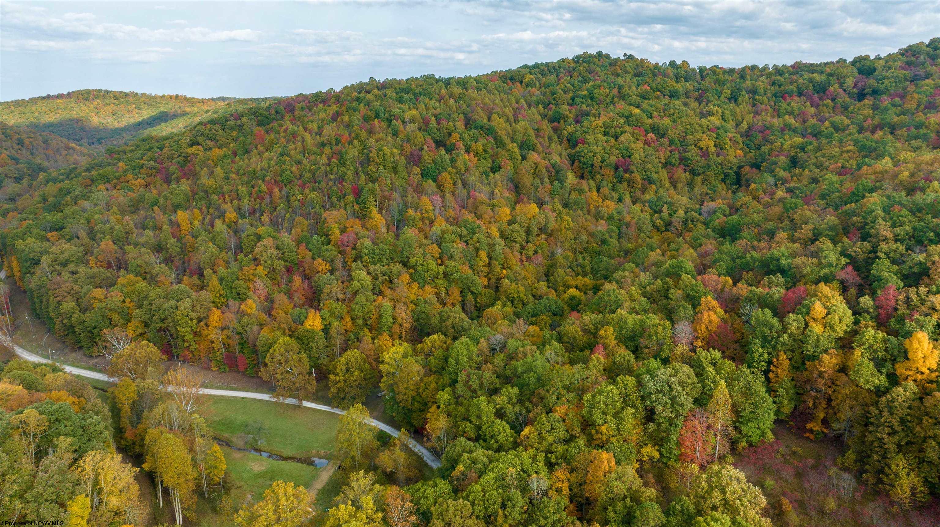 Clendenin, West Virginia 25045, United States, ,Land,Active,64630