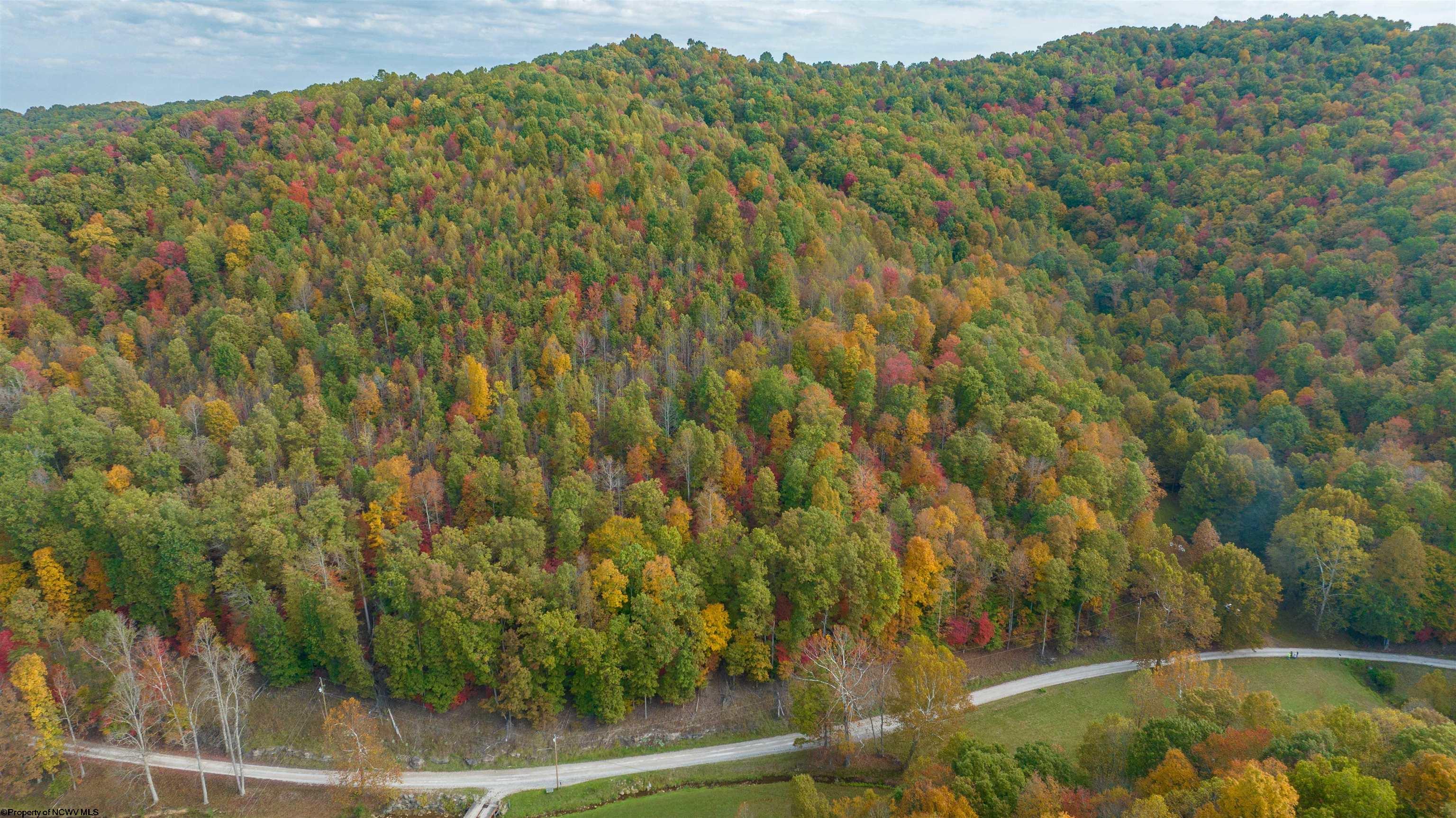 Clendenin, West Virginia 25045, United States, ,Land,Active,64630