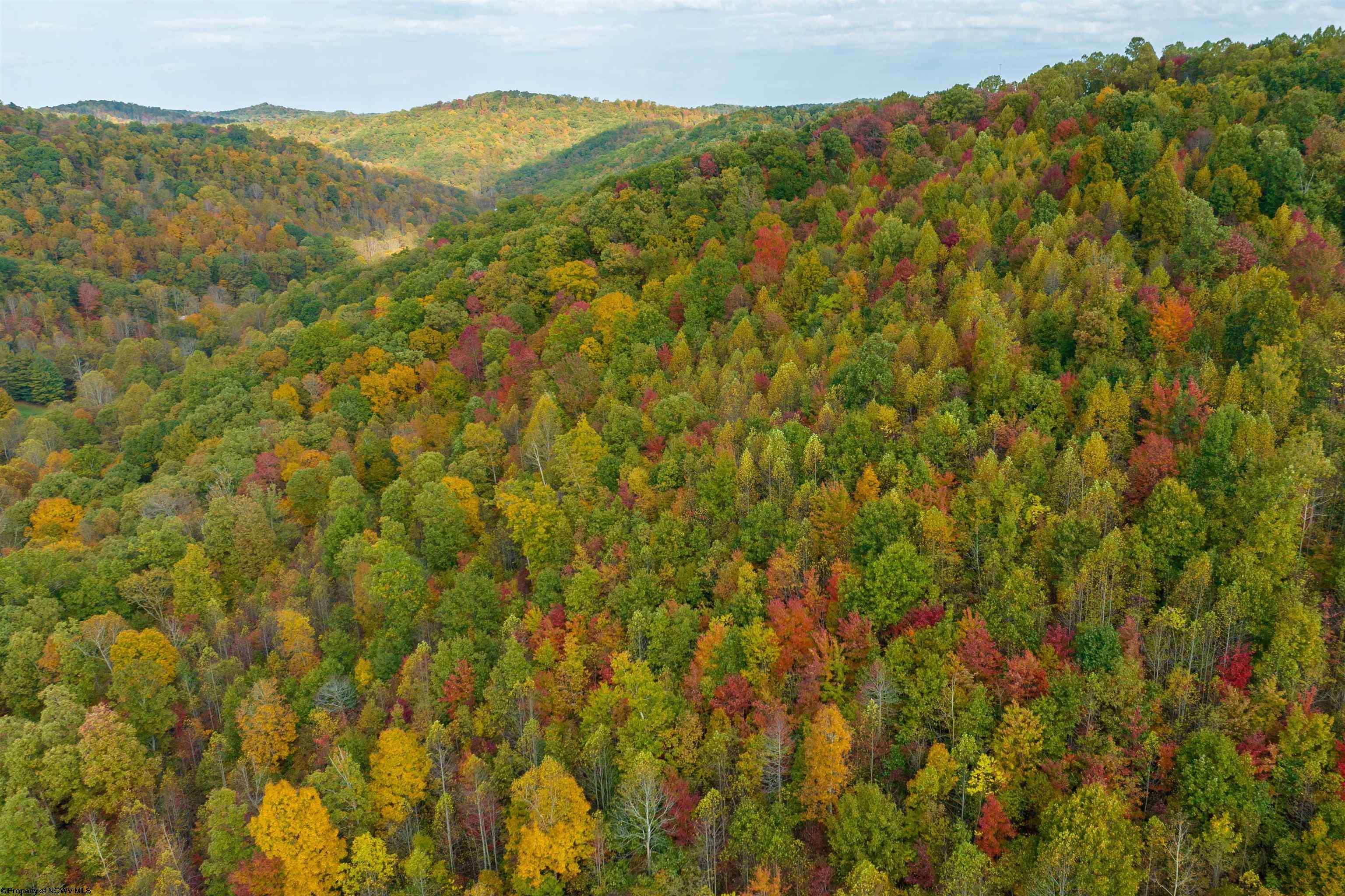 Clendenin, West Virginia 25045, United States, ,Land,Active,64630