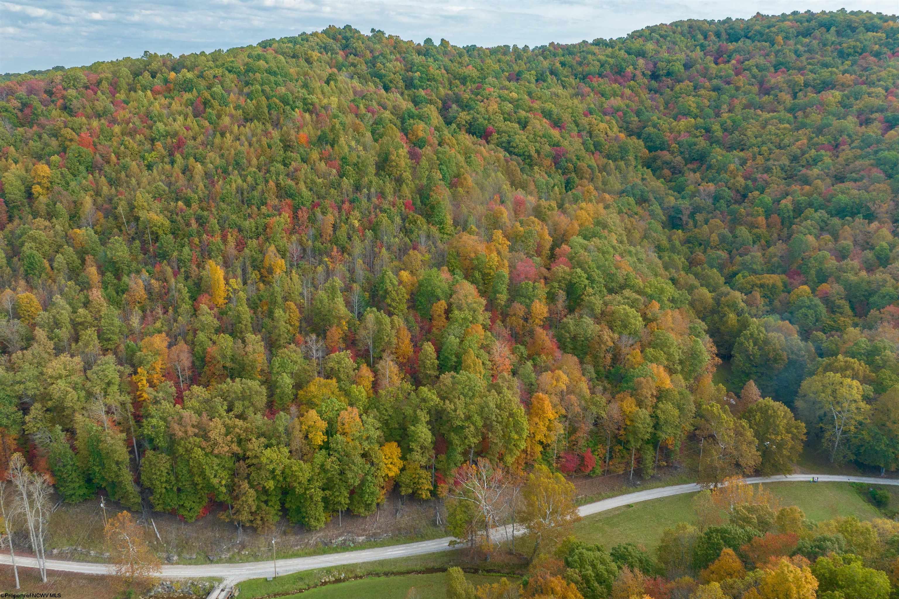 Clendenin, West Virginia 25045, United States, ,Land,Active,64630