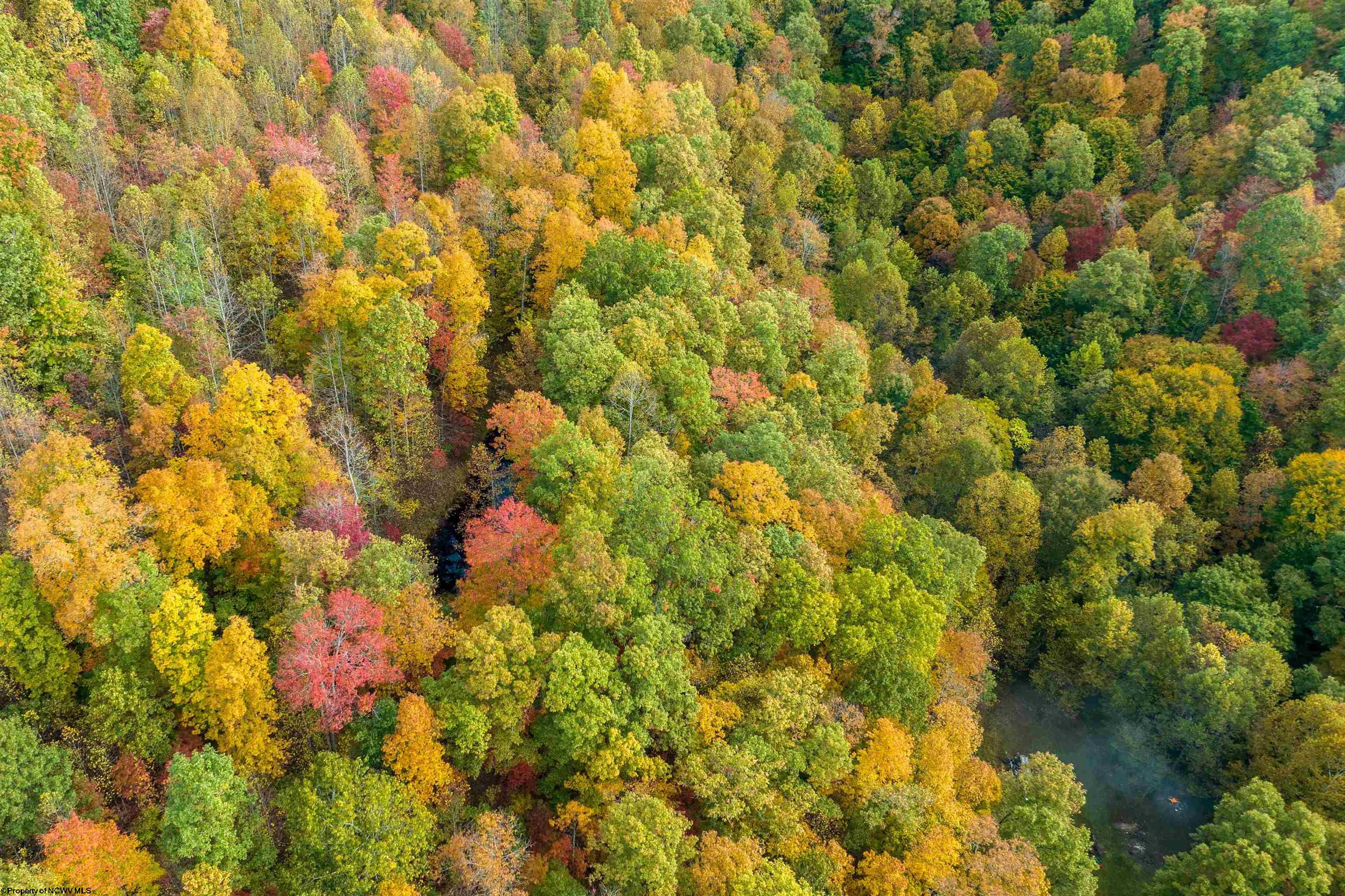 Clendenin, West Virginia 25045, United States, ,Land,Active,64630