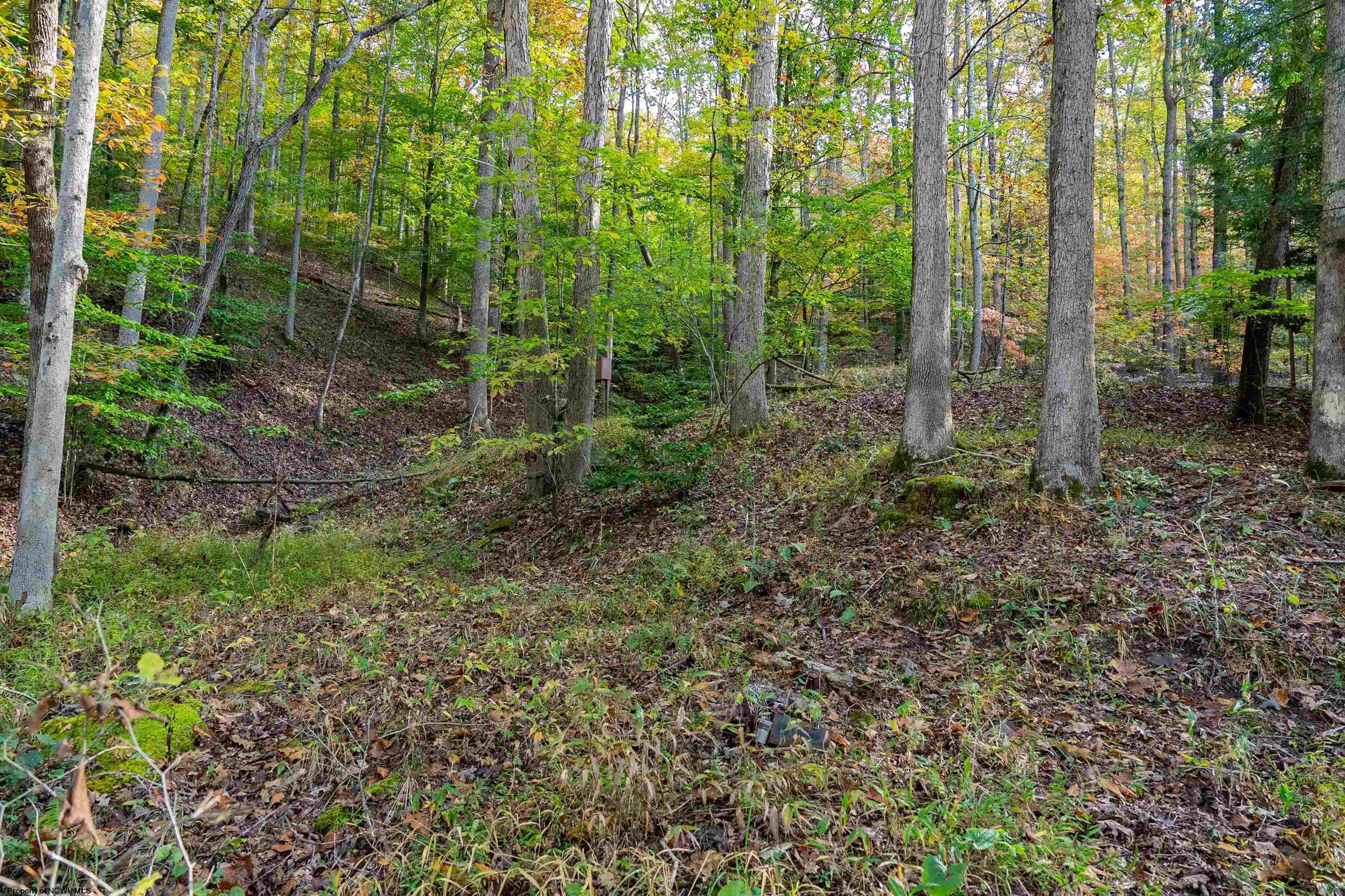 Clendenin, West Virginia 25045, United States, ,Land,Active,64630